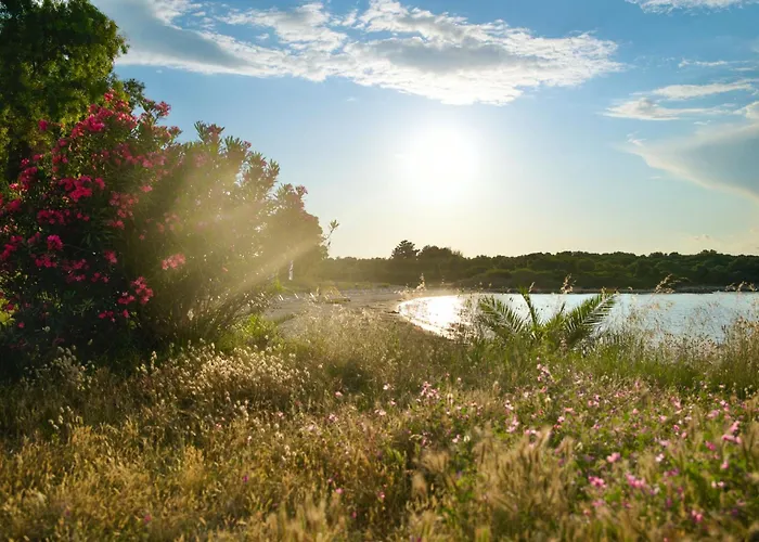 Bayside House Hébergement de vacances Kassiopi